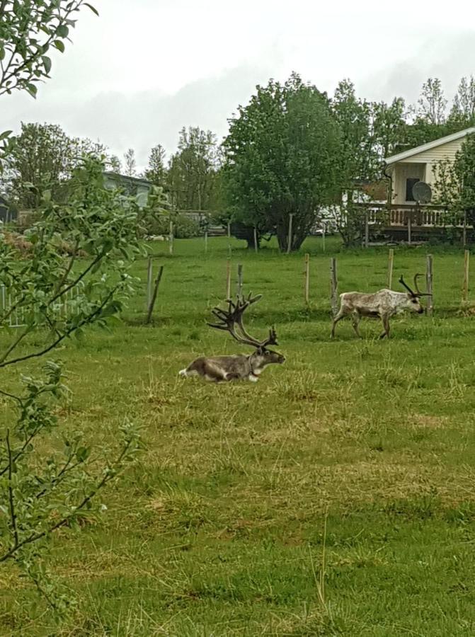 Nydelig Utsikt, Egen Leilighet Med To Parkeringer Movik  Dış mekan fotoğraf